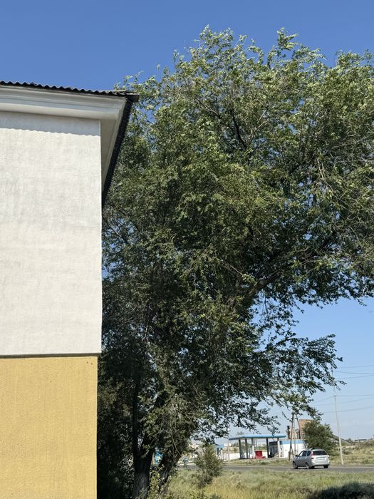 Продается квартира по адресу г Сарань ул Чкалова