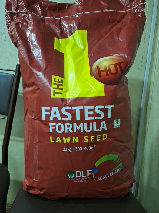 Gazon urug‘. Газон уруг