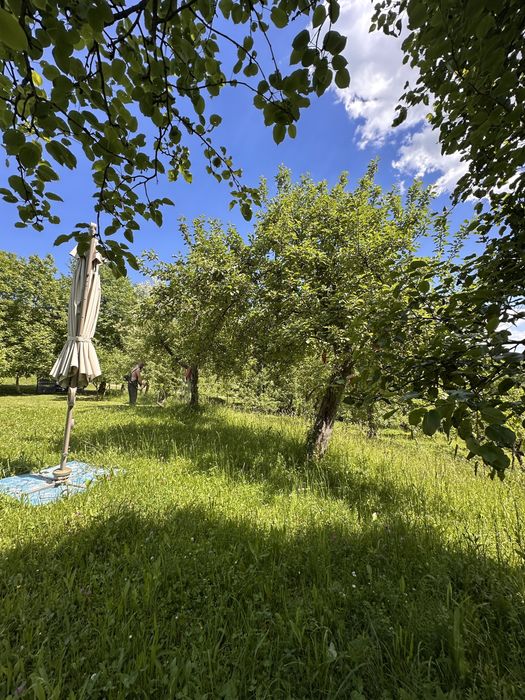 Teren în Breaza – Frăsinet | 1.955 mp | 23 €/mp