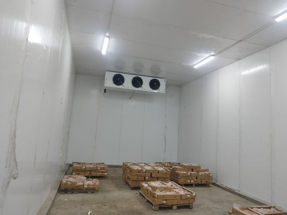 Морозильная камера