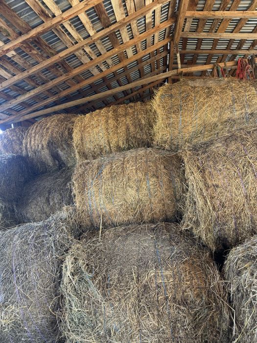 Vand baloti de lucerna