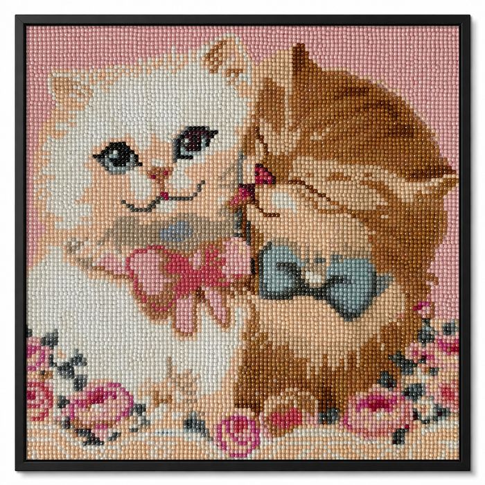 Tablou în lucru Diamond painting 30×30vine pus în rama