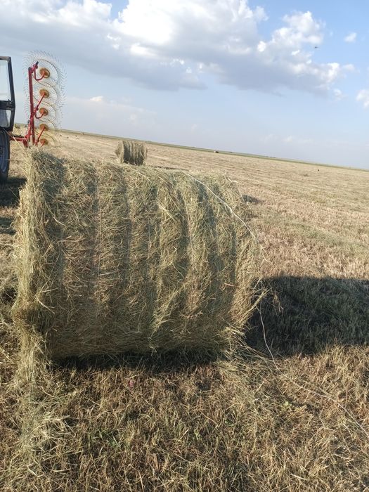 продам сено в рулонах