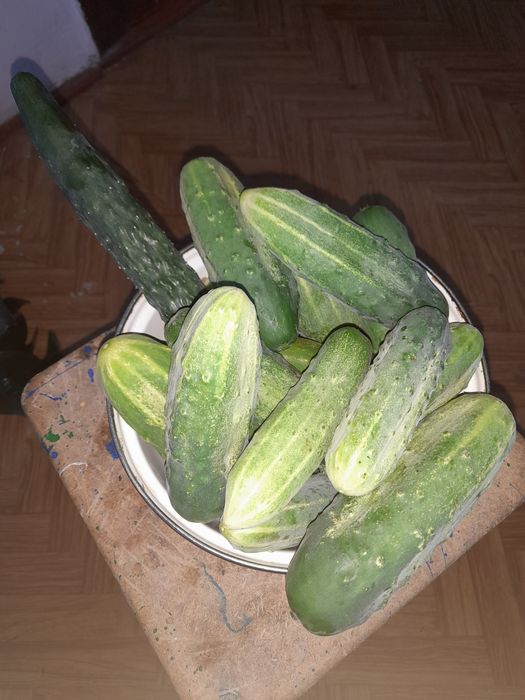 Груша местная, огурцы