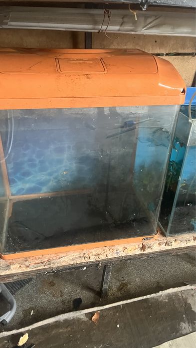 Заводской аквариум