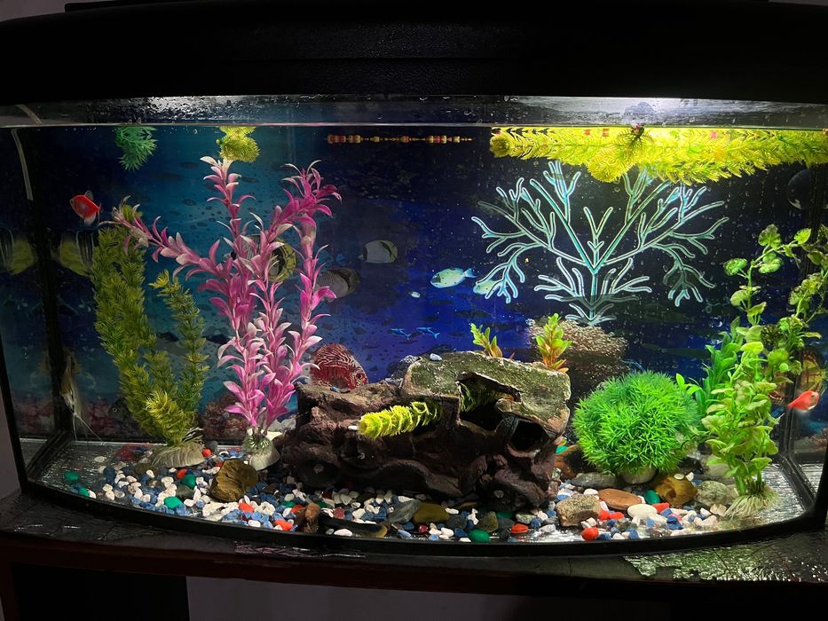 Продам Аквариум с рыбами