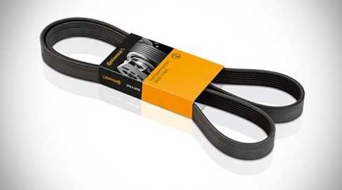 Curea trapezoidala, Continental