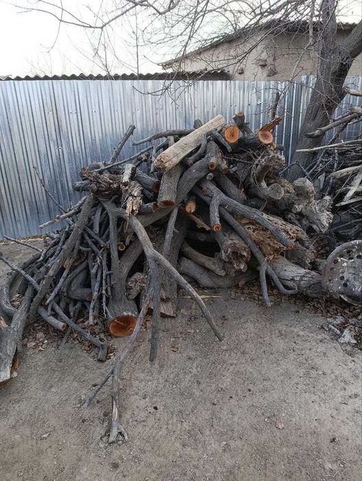 O'tin sotiladi.Daraxtlar