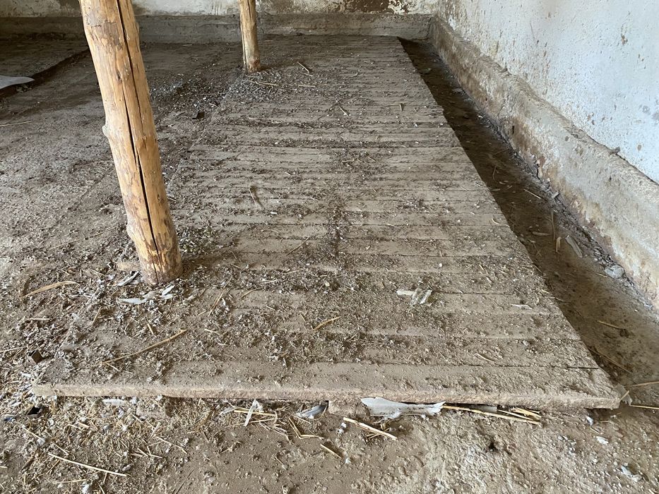 Ағаш, дерево, дранка