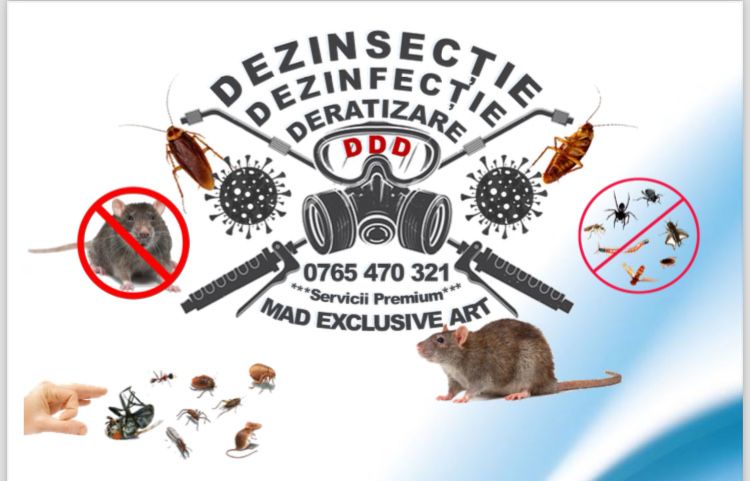 Dezinsectie - Dezinfectie - Deratizare