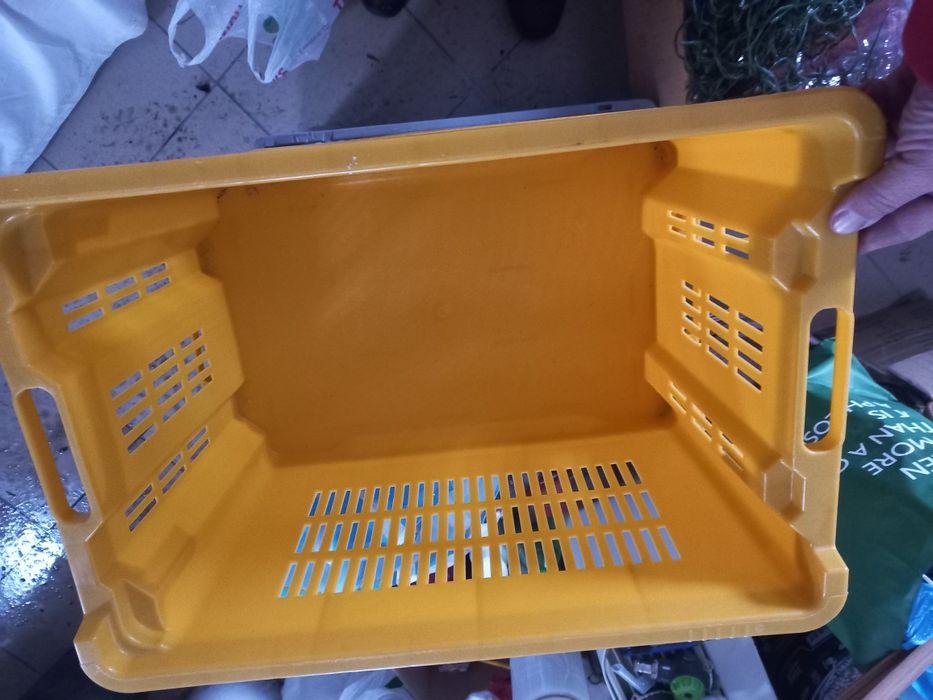 Lăzi plastic robuste