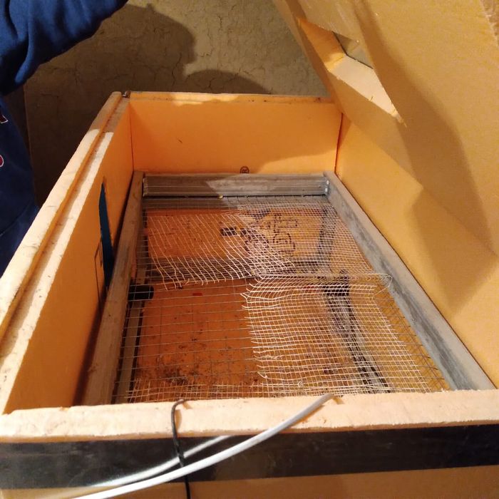 Инкубатор яйц универсальный в рабочем состояние.