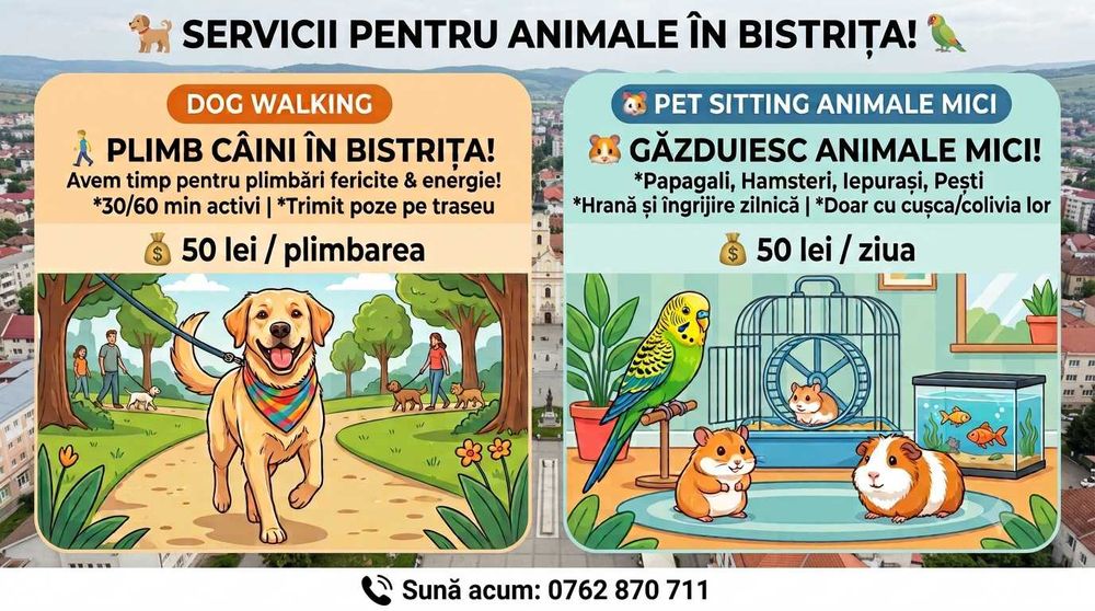 Plimb Caini & Gazduiesc Animale Mici Bistrița