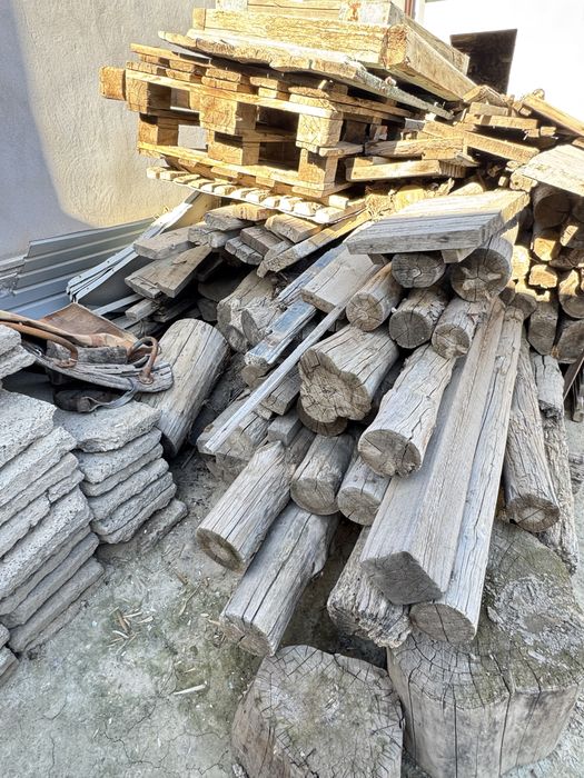 Қора қопшыққа ағаштар