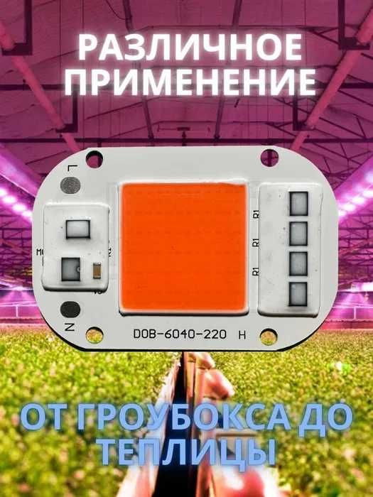 Фитолампа для растений