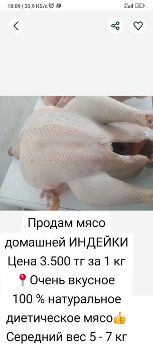 Домашние гуси продам