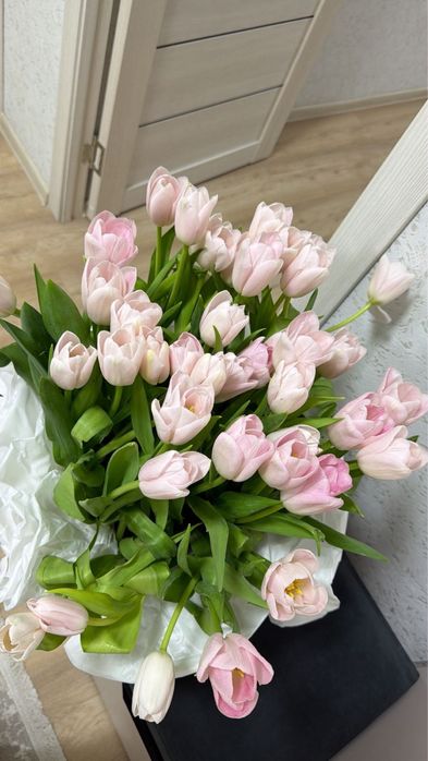 Продаются цветы тюльпаны Роза