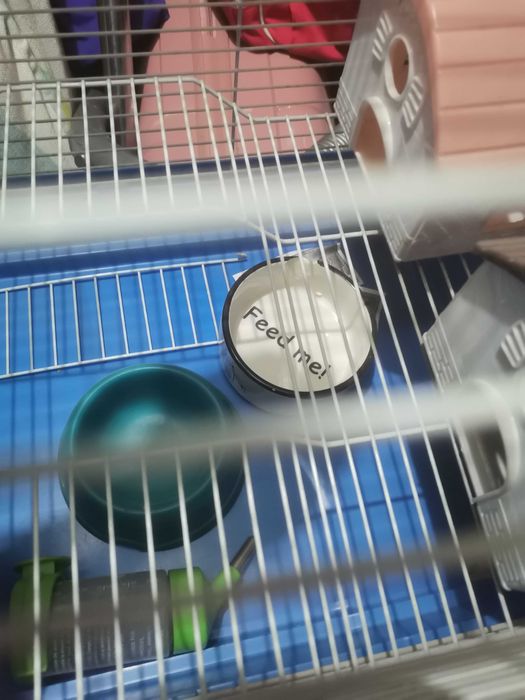 Большая клетка для хомяков