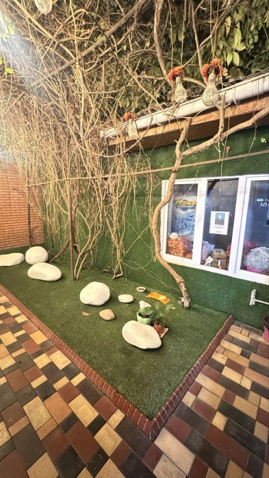 Газон высшего качество