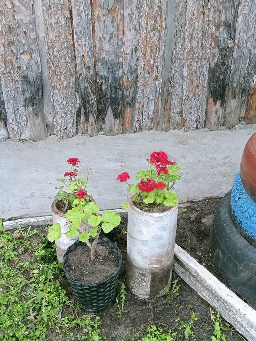 Продам дом в Красном Кардоне
