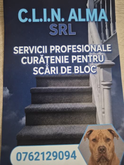 Firma curatenie C.L.I.N Alma SRL