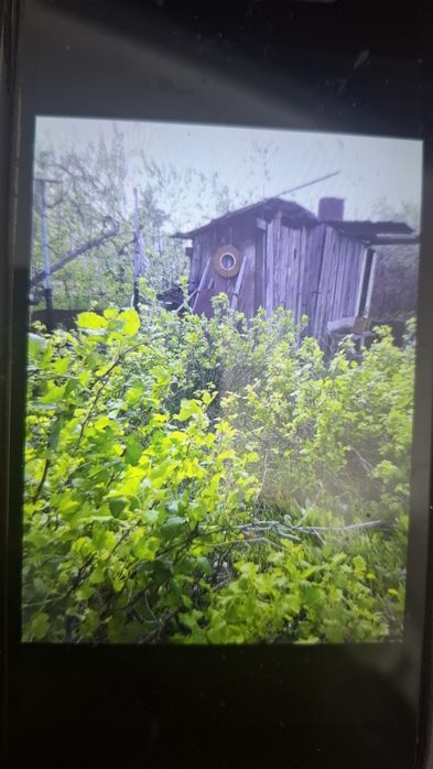 Дача в сообществе КЖБИ