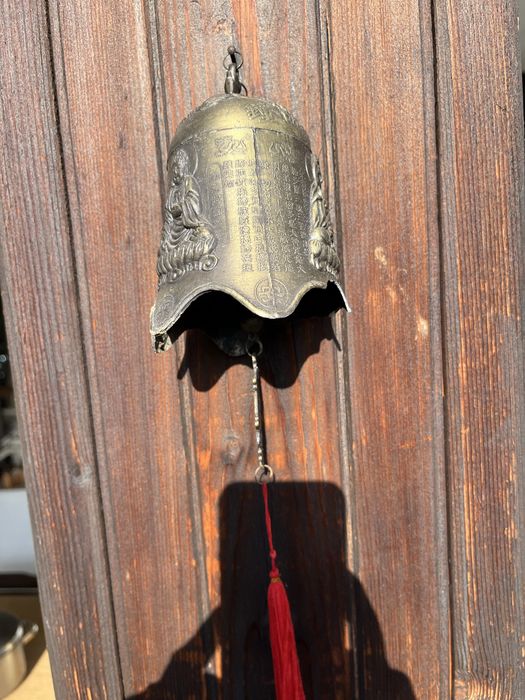 Продавам Китайска хлопка 55лв