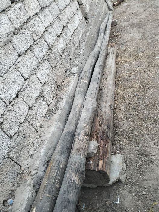 Тусин холати зур donasi 150000