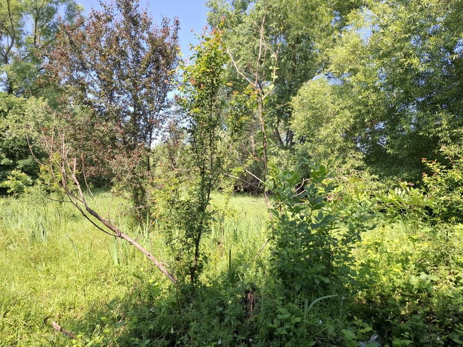 Teren intravilan cu toate utilitatile