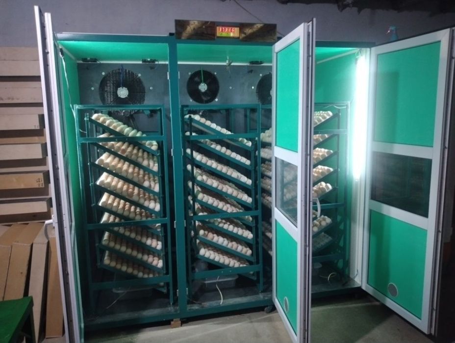 Инкубатор BALAPAN PRO NOMAD на 5000 яиц