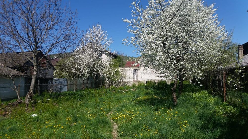 Vand casa batraneasca si teren