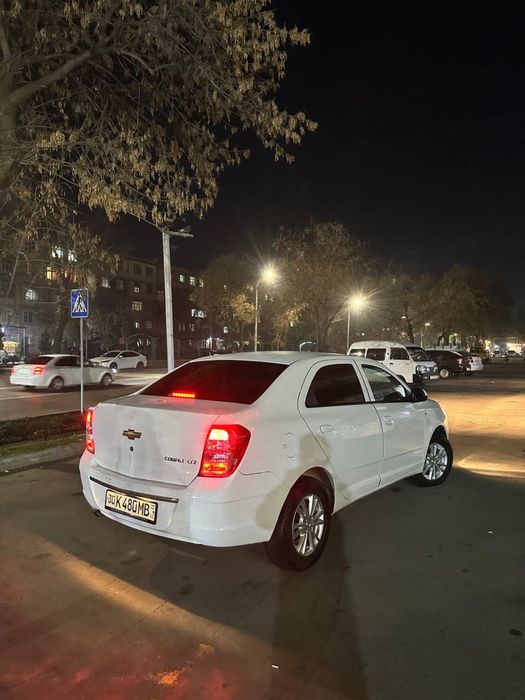 Cobalt 2024 tozza ideal