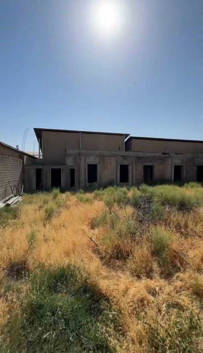 Курук ер сотилади тошкент тумани  эски 16 йиллик