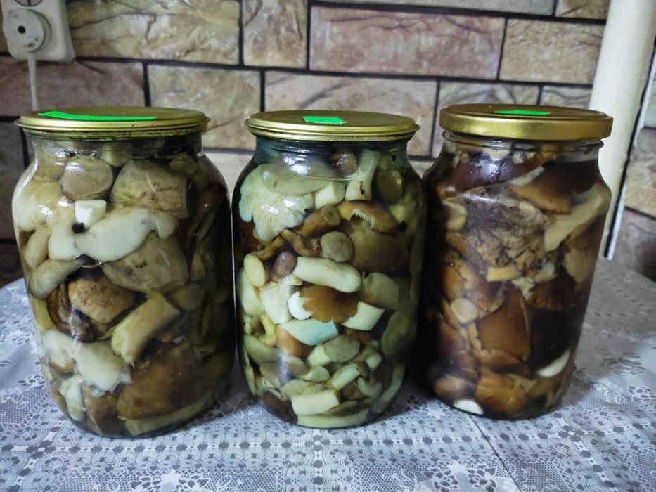 Продаю грибы Маринованные