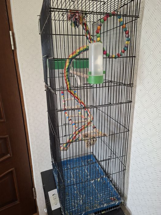 Клетка для попугая