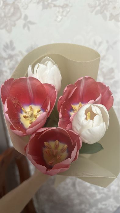 Продам тюльпаны и мерси