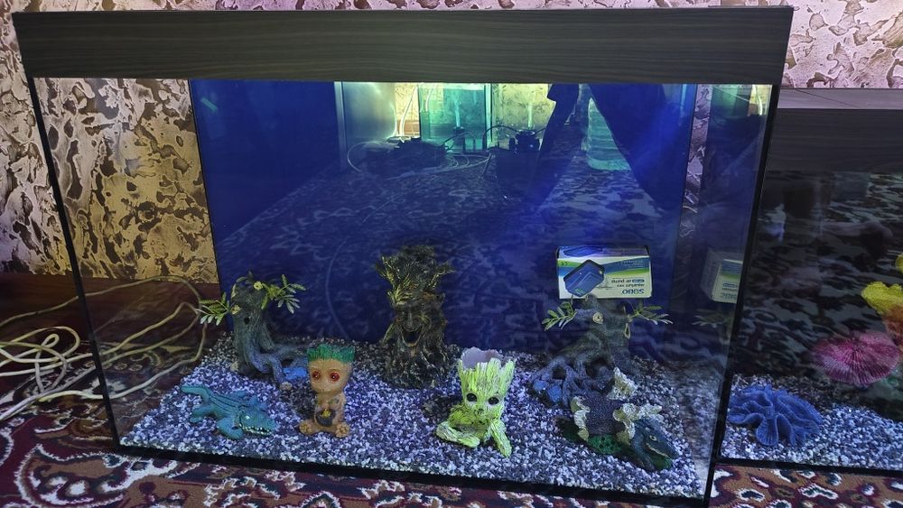 Akvariumlar sotiladi