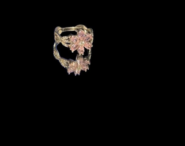 Kumush komplekt padarkaga