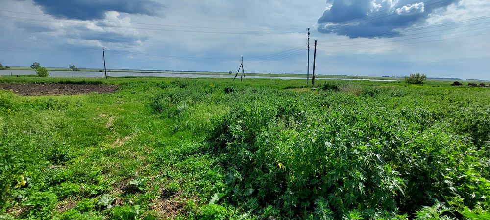 Продам земельный участок