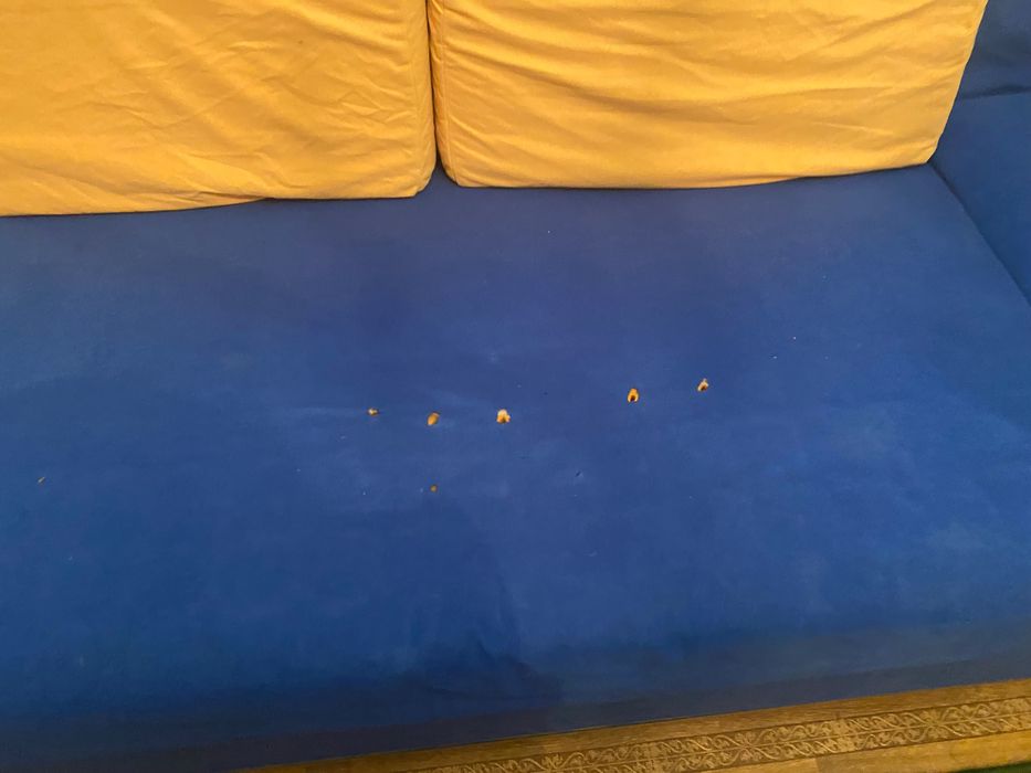 Отдам бесплатно Диван Б/У