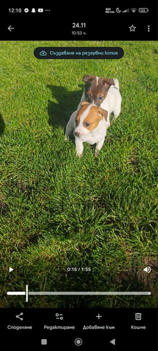 Джакчета момичета!