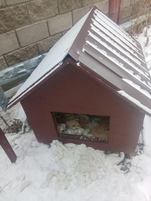 Продаю Бутка для собак