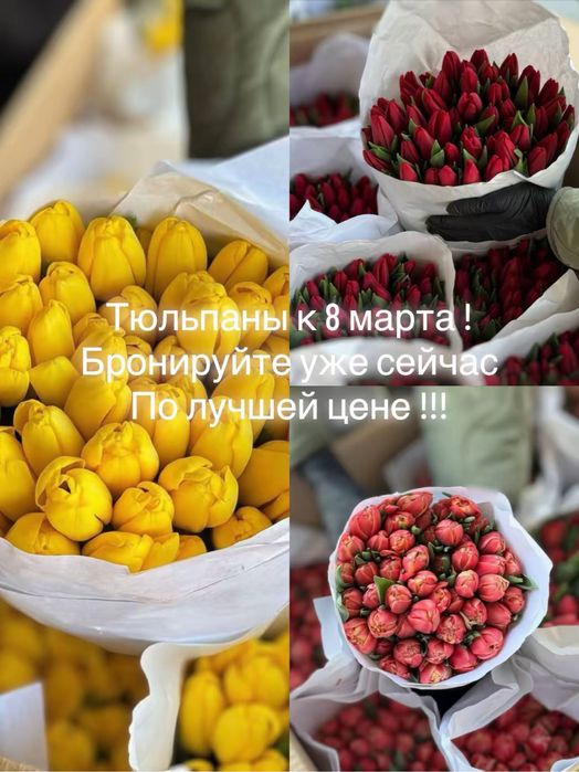 Продам тюльпаны к 8 марта