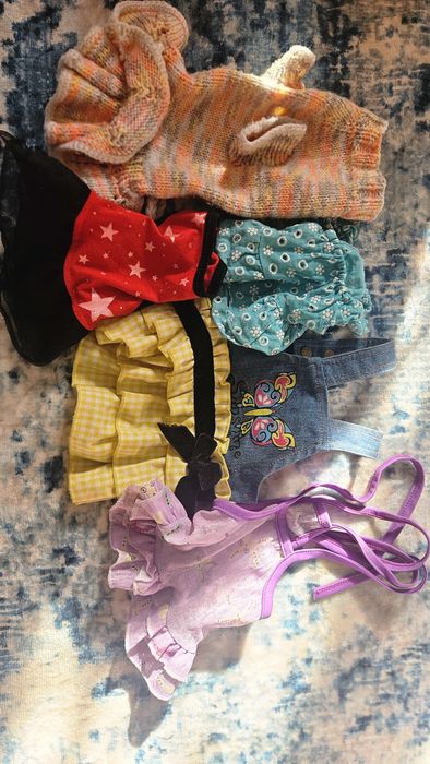 Одежда для собак