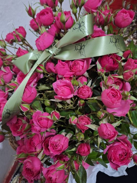 Кустовые розы новый