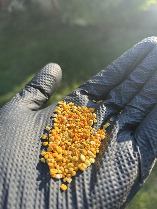 Мед,пчелен прашец ,пчелна рамка с мед - /ЛУКС/— /В БУРКАН/