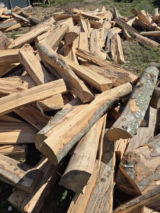 Vind lemne uscate sau verzi