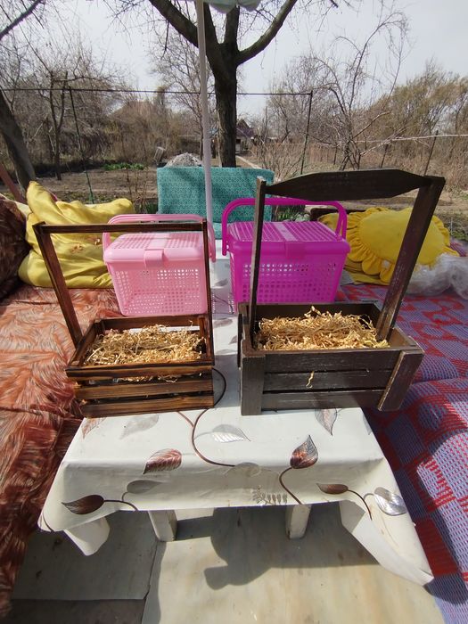 Подарочные фруктовые корзины