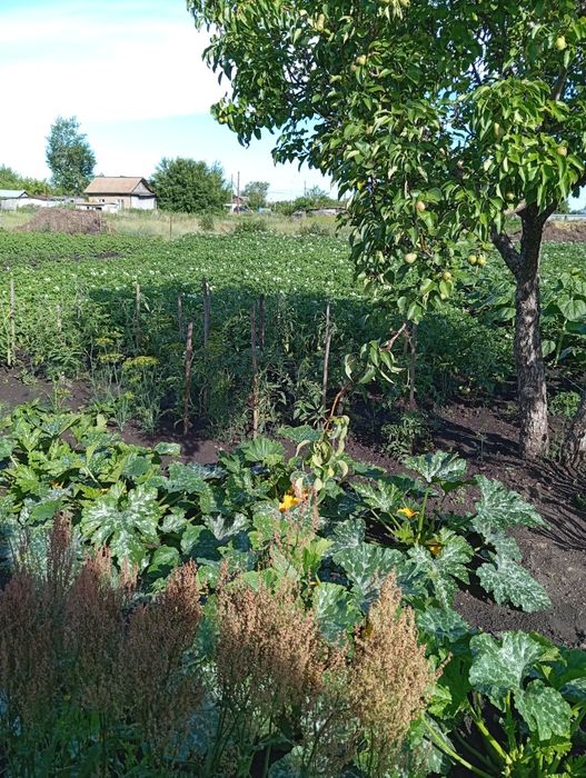 Продам жилой частный дом