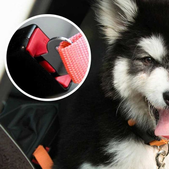 Предпазен колан за домашни любимци (куче, котка) за кола / автомобил